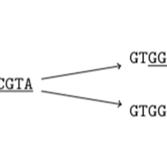 Finding Maximal Exact Matches in Graphs