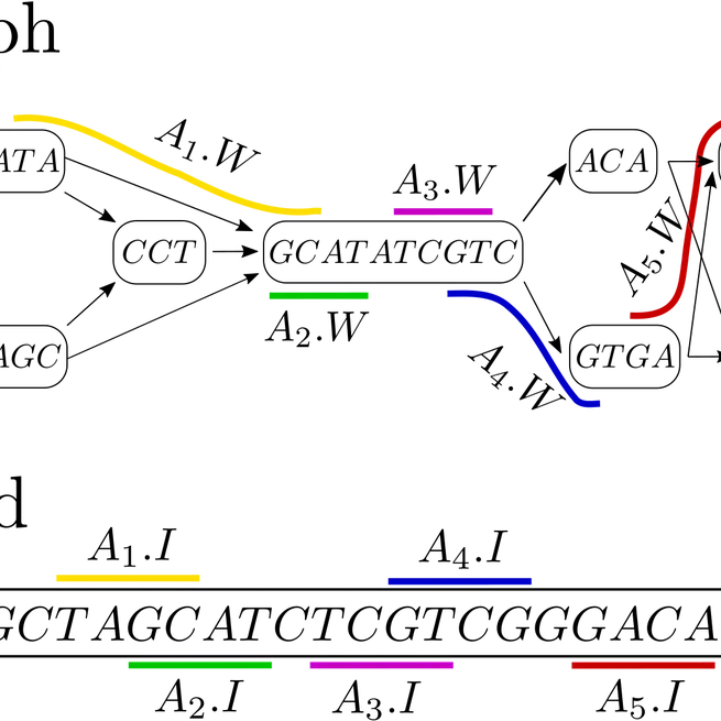 Chaining for Accurate Alignment of Erroneous Long Reads to Acyclic Variation Graphs