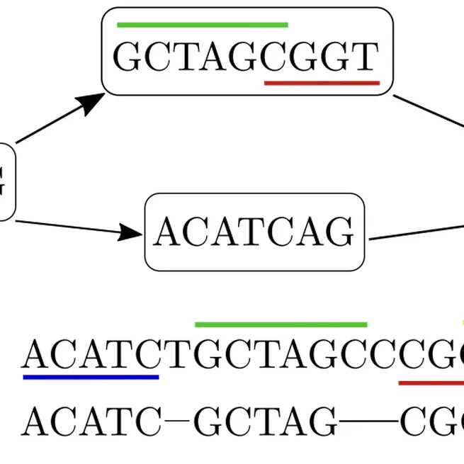 Chaining of Maximal Exact Matches in Graphs